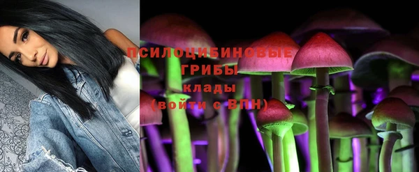 ГАЛЛЮЦИНОГЕННЫЕ ГРИБЫ Белоозёрский