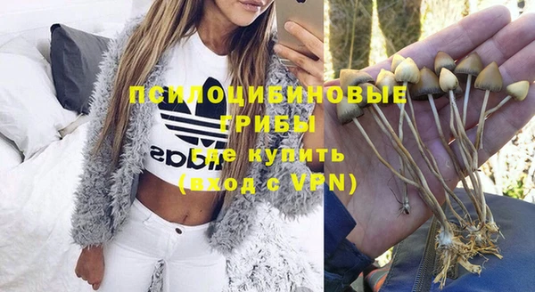ГАЛЛЮЦИНОГЕННЫЕ ГРИБЫ Белоозёрский