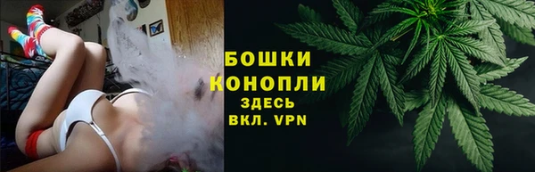 ГАЛЛЮЦИНОГЕННЫЕ ГРИБЫ Белоозёрский