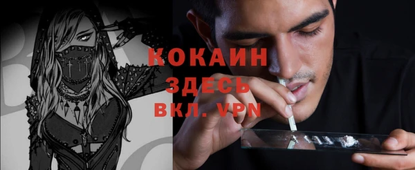 дмт Ельня