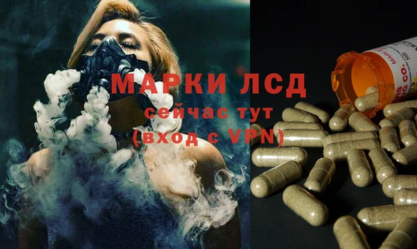 ГАЛЛЮЦИНОГЕННЫЕ ГРИБЫ Белоозёрский