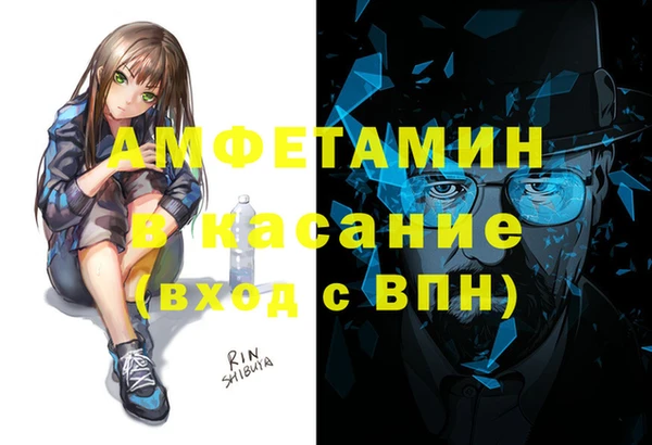 прущие грибы Медвежьегорск