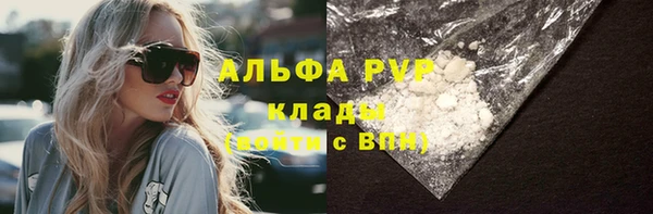 прущие грибы Медвежьегорск