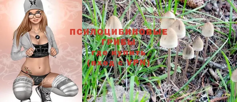 Галлюциногенные грибы Magic Shrooms  ссылка на мегу как зайти  Долинск  где можно купить наркотик 